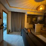 Jungle Studio